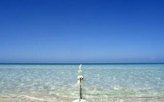 Beach Desktop Background And Wallpaper Always