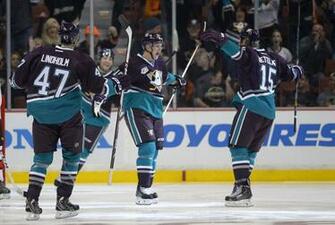 Ducks Hockey Wallpaper