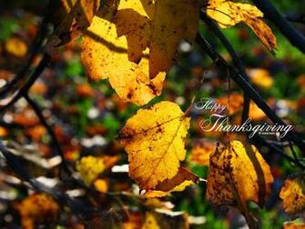 Thanksgiving Wallpaper By Kate Net