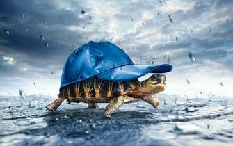 To Wallpaper Just Right Click On Pictures And Select Save