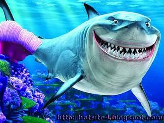 Fish HD 3d Wallpaper Animal Photos Beautyfull