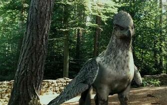 Harry Potter The Prisoner Of Azkaban Book To Movie Differences