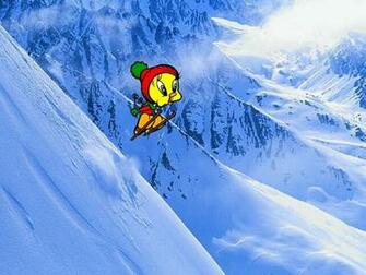 Tweety Bird Wallpaper