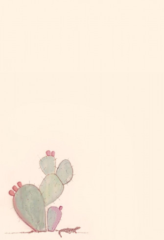 Cactus iPhone Wallpaper