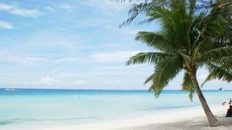 Island Beach HD Wallpaper Background Image