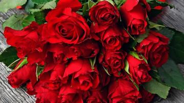 Romantic Red Roses Flowers Wallpaper Full