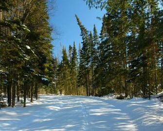 Winter Wallpaper For Desktop Background HD