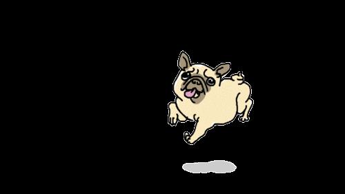Pug Animated Gif Pictures Best Animations