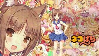 Neko Paradise Azuki By Seira Hirano