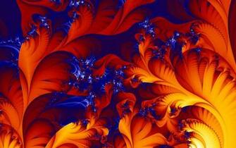 Phoenix Feathers Photos Photo