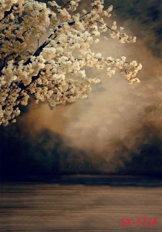 Photography Backdrops Photographic Background Fond Studio Photo