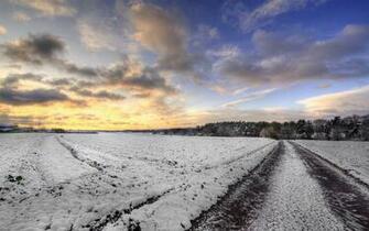 Plain Snowland Wallpaper For Desktop Background HD