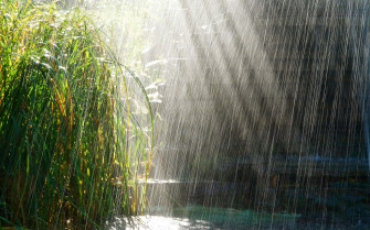 A Breathtaking Of Spring Rain Gently Falling On