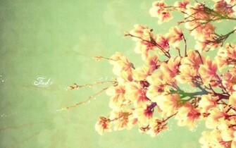 Spring Wallpaper Best