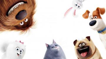 The Secret Life Of Pets Wallpaper And Background