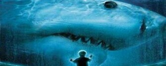 Prehistoric Shark From Species Known The Megalodon Who Has