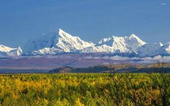 Denali National Park Wallpaper Nature