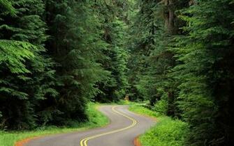 Beautiful Image Of Nature Wallpaper For Android Desktop