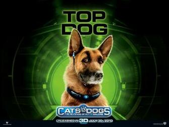 Cats Dogs The Revenge Of Kitty Galore Movie Wallpaper