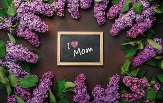 Wallpaper Flowers Spring Purple Romantic Letter