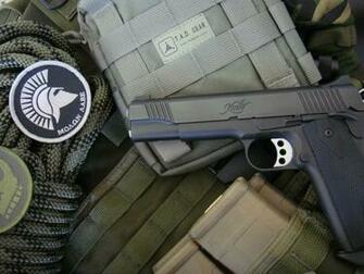 Kimber Wallpaper Picswallpaper