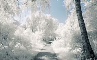 Money Making Beautiful Landscapes