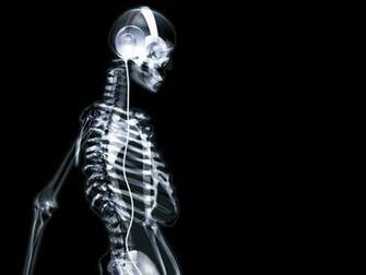 Skeleton Wallpaper And Image Pictures Photos