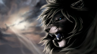 Angry Lion HD Wallpaper