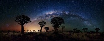 Stunning High Resolution Wallpaper