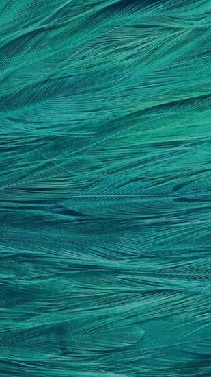 Cool Wallpaper HD For iPhone And Plus