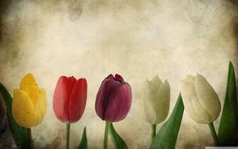 Vintage Photography Desktop Wallpaper