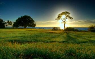 Spring Landscape Exclusive HD Wallpaper