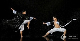 Martial Arts Wallpaper Art Fight Photos