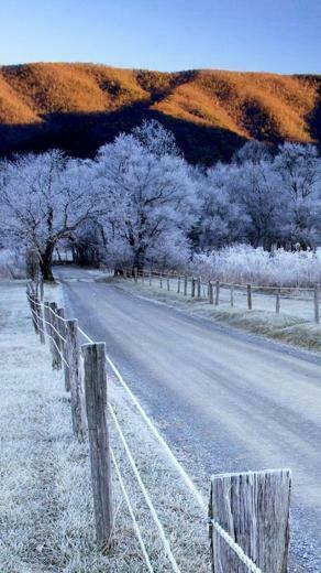 Road iPhone 5s Wallpaper Net