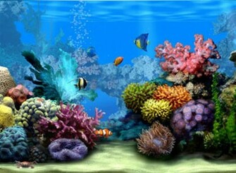Moving Background Wallpaper55 Best Wallpaper For Pcs