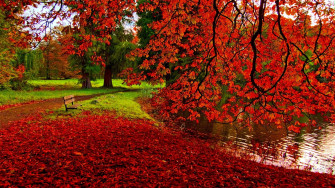 Fall Desktop Wallpaper HD