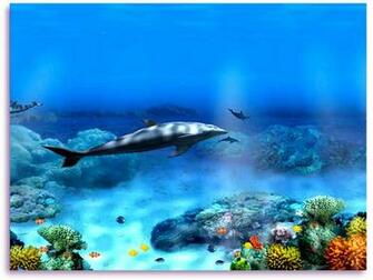 Living 3d Dolphins Screensaver Animated Dolphin