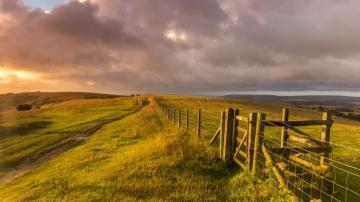 West Sussex England Landscape Grass Fence Farm Sheep