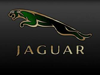 Jaguar Logo Wallpaper Pictures Image