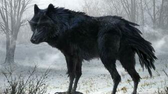 Black Wolf Art Wallpaper
