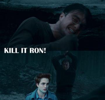 Harry Memes Poytermwallpaper Wallpaper On