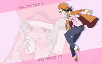 Bakemonogatari Monogatari Series Sengoku Nadeko Konachan