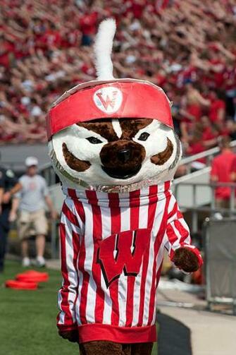 Free download Bucky Badger Wallpaper Bucky and brutus by [1015x787] for ...