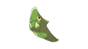 Metapod Wallpaper Px Fond Ecran