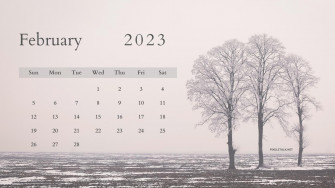 February Calendar Desktop Wallpaper Net