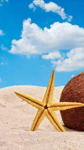 Summer Accessories iPhone 5s Wallpaper