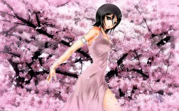 Rukia Bleach Wallpaper Anime