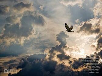 Wallpaper Tao Te Ching Liberi Di Leggere