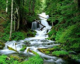 Big Spring Creek Wallpaper