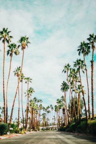 Photo Diary Palm Springs Ca Near Far Cool